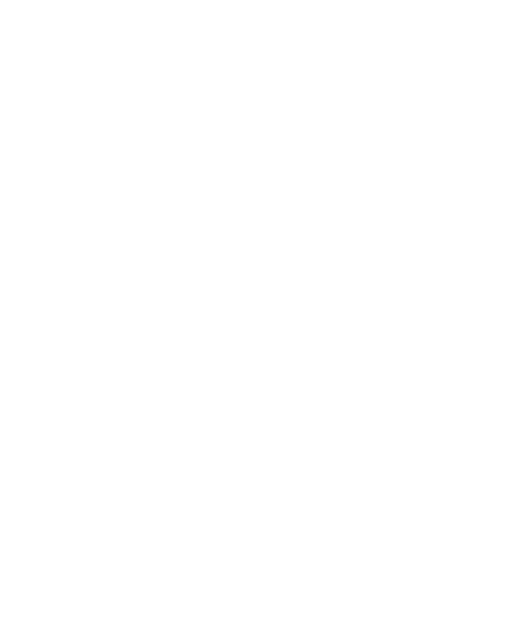 E-commerce Websites